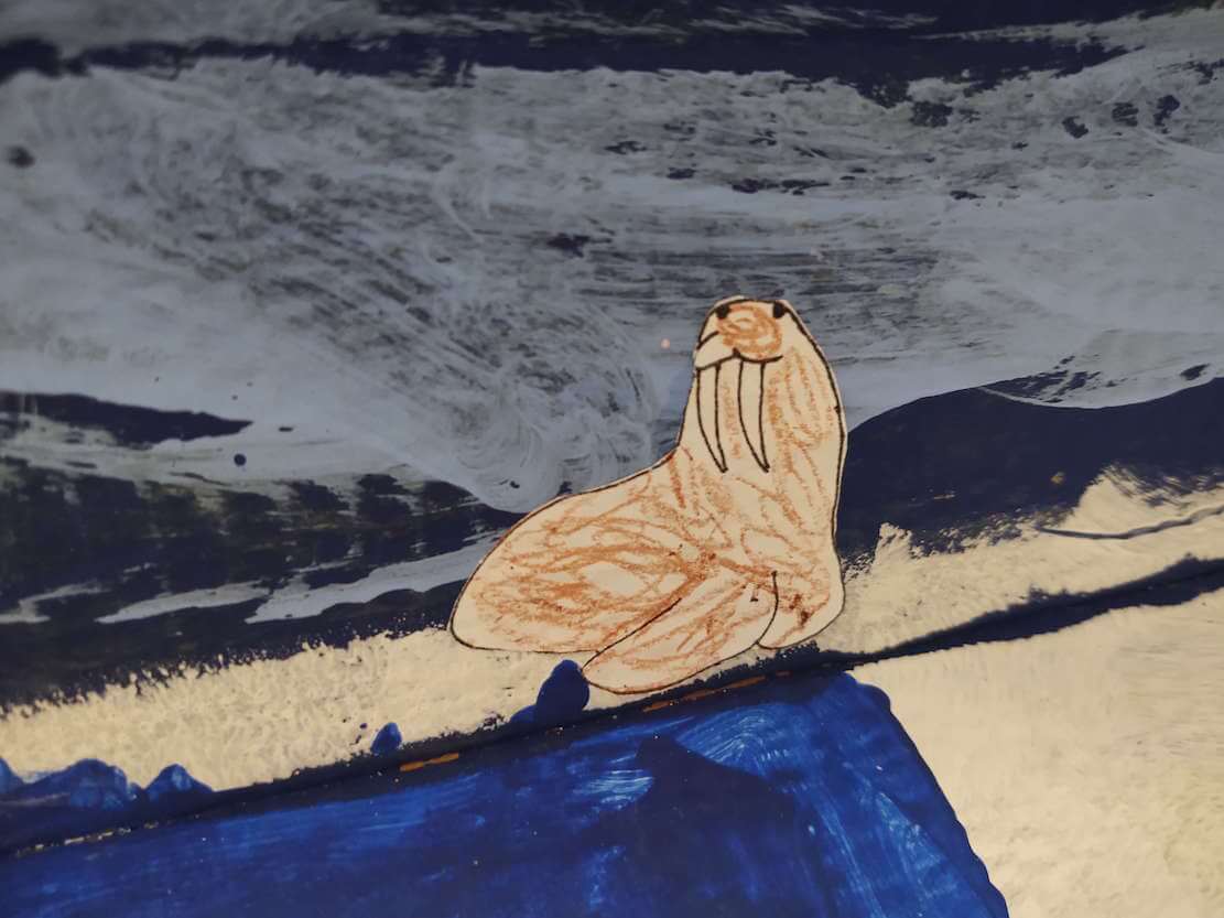 walrus printable
